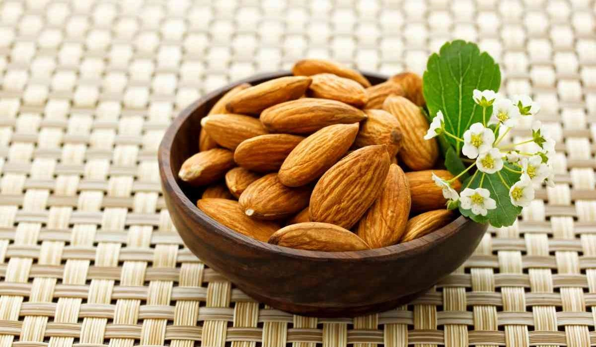 تصویر 1 از خرید مغز  بادام مامایی + قیمت فروش